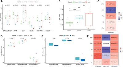 Development and validation of a disulfidptosis-related scoring system to predict clinical outcome and immunotherapy response in acute myeloid leukemia by integrated analysis of single-cell and bulk RNA-sequencing